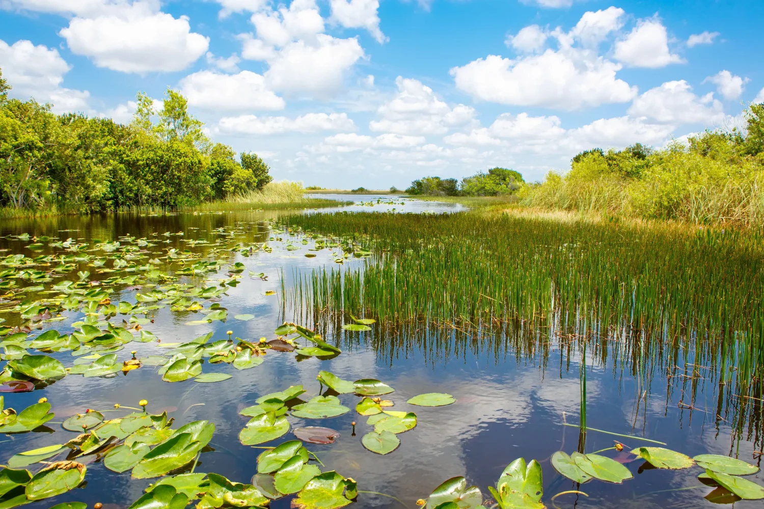 how to get to everglades national park from miami without a car