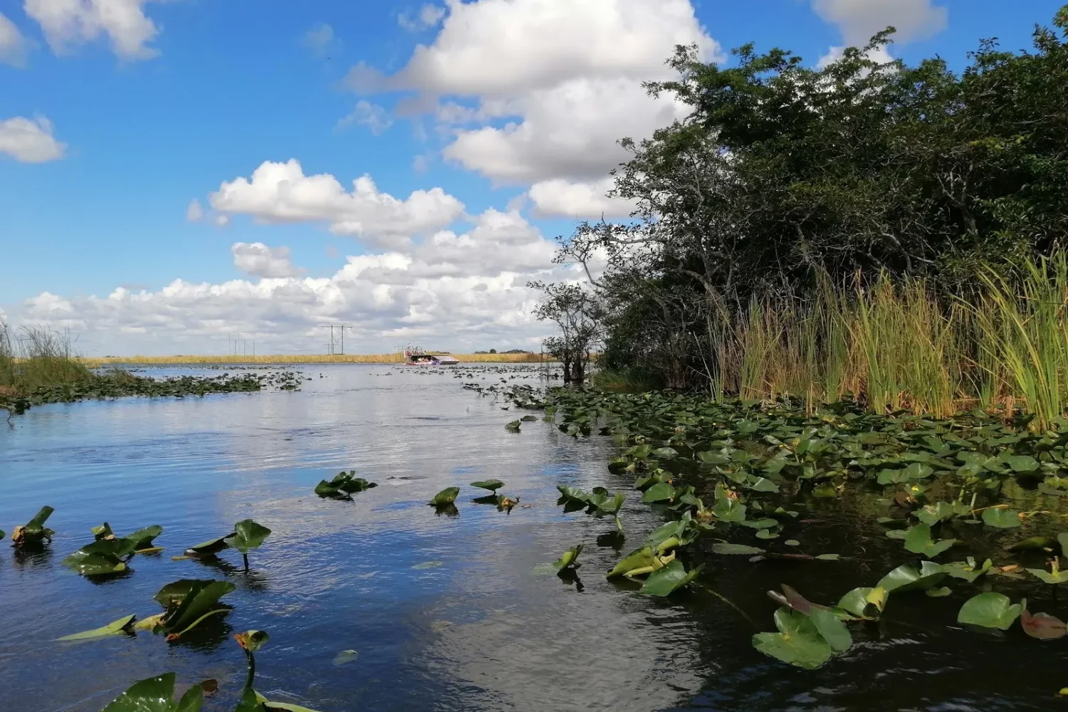 best airboat tour everglades miami