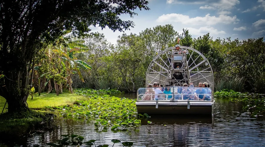 Passeio pelos Everglades saindo de South Beach
