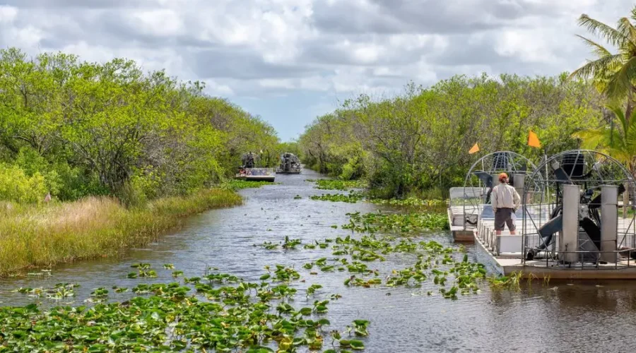 Excursão a Everglades saindo de Miami Beach